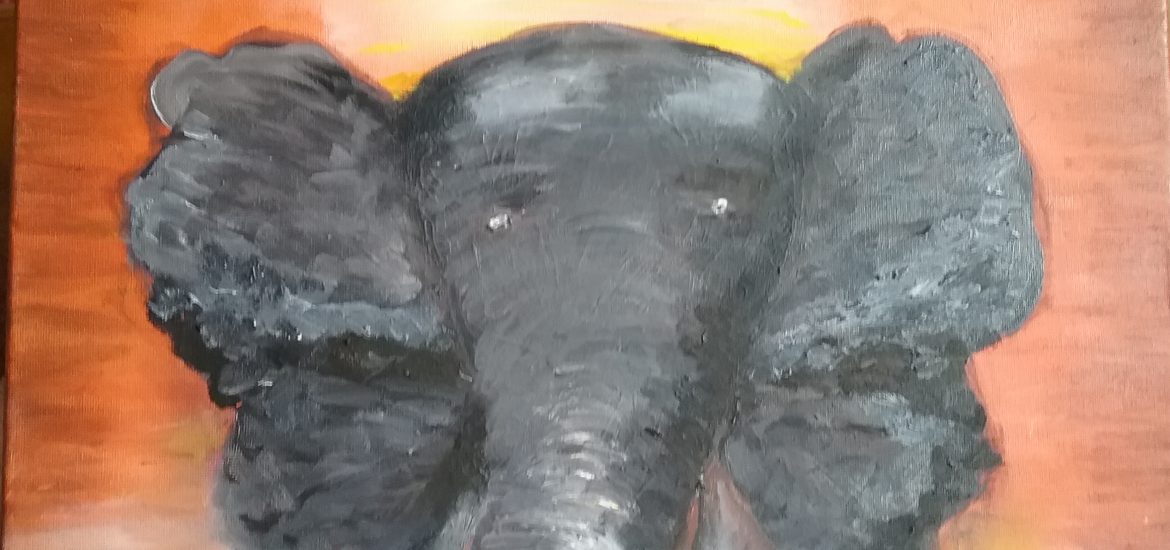 Elefántbébi